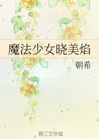 (BG/綜漫同人)魔法少女曉美焰