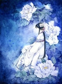 绿野龙踪